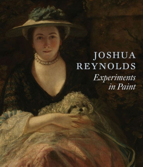 Joshua Reynolds : Experiments in Paint by Lucy Davis - Paperback