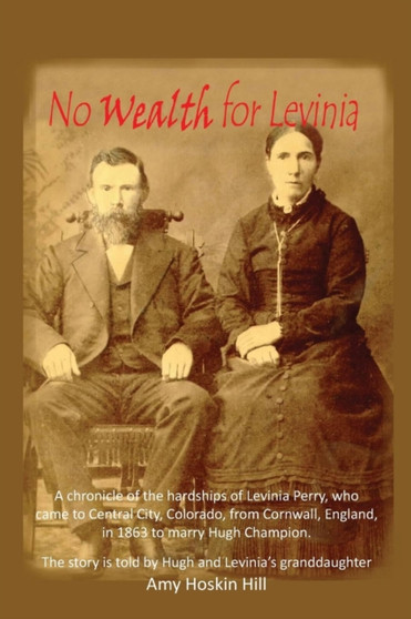 No Wealth for Levinia by Amy Hoskin Hill - Paperback