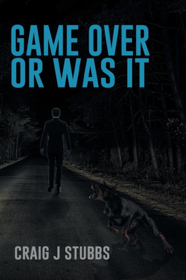 Game Over or Was It by Craig J Stubbs - Paperback