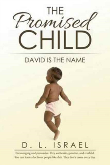 The Promised Child : David Is the Name by D L Israel - Paperback