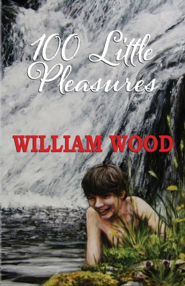 100 Little Pleasures by William Wood - Paperback