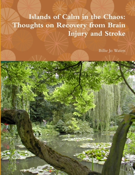 Islands of Calm in the Chaos: Thoughts on Recovery from Brain Injury and Stroke by Billie Jo Waters - Paperback