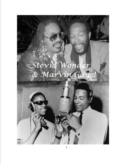Stevie Wonder & Marvin Gaye! by Steven King - Paperback