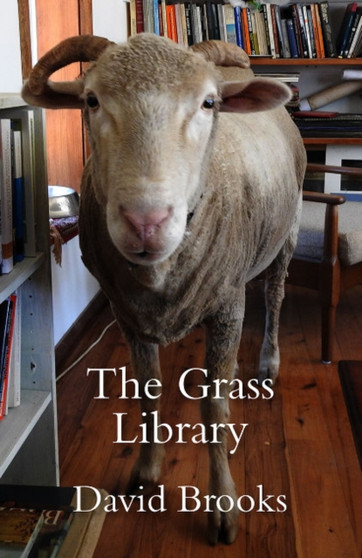 The Grass Library by David Brooks - Paperback