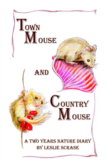 Town Mouse and Country Mouse by Leslie Scrase - Paperback