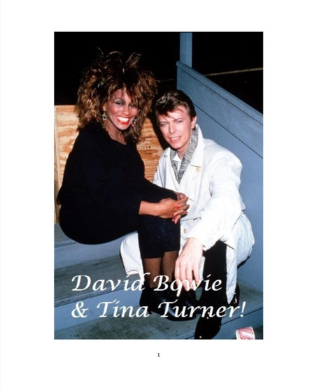 David Bowie and Tina Turner! by Diane Paterson - Paperback