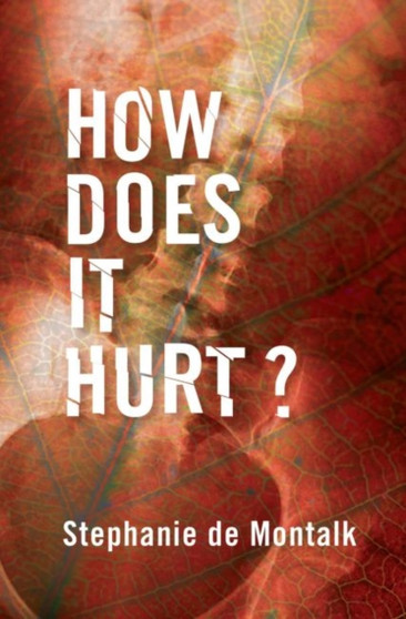 How Does it Hurt : Narrating Pain by Stephanie de Montalk - Paperback