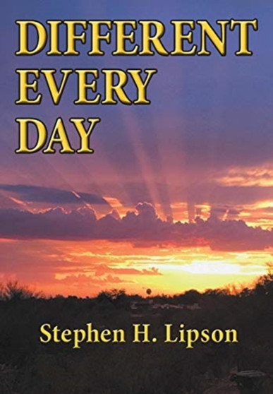 Different Every Day by Stephen H Lipson - Paperback