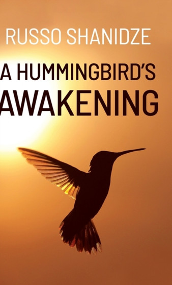 A Hummingbird's Awakening by Russo Shanidze - Hardback