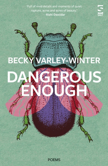 Dangerous Enough by Ms Becky Varley-Winter - Paperback