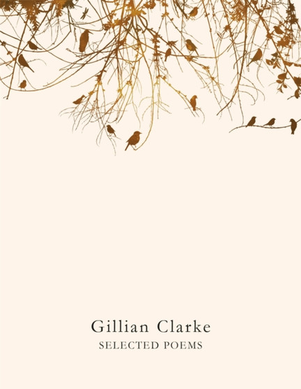 Selected Poems by Gillian Clarke - Paperback