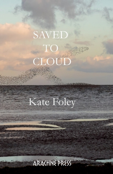 Saved to Cloud by Kate Foley - Paperback