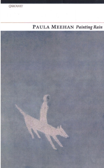 Painting Rain by Paula Meehan - Paperback