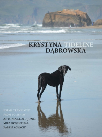 Tideline by Krystyna Dabrowska - Paperback
