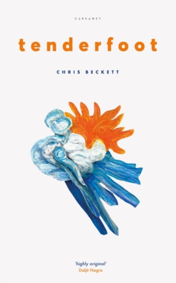 Tenderfoot by Chris Beckett - Paperback