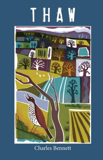 Thaw by Charles Bennett - Paperback