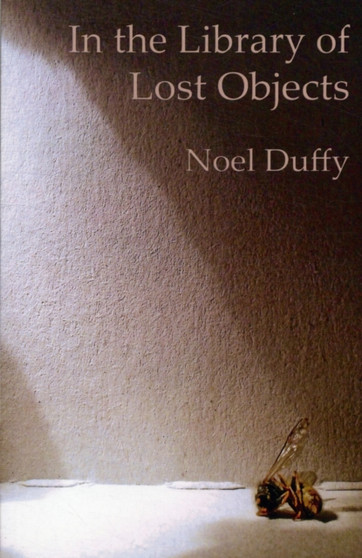 In the Library of Lost Objects by Noel Duffy - Paperback