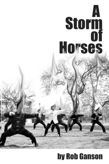 A Storm of Horses by Rob Ganson - Paperback