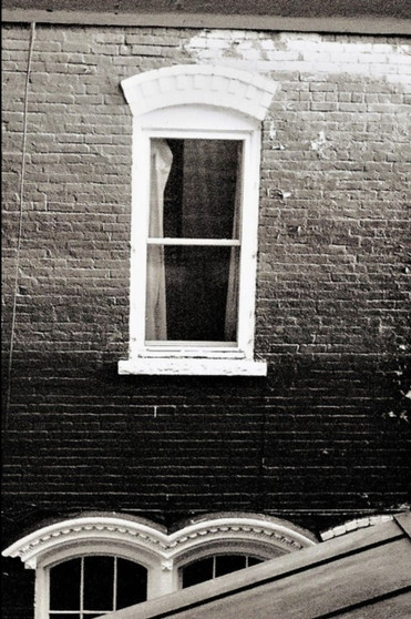 Betrayal In Your Beekman Arms Illustrated by Joan Noeldechen - Paperback