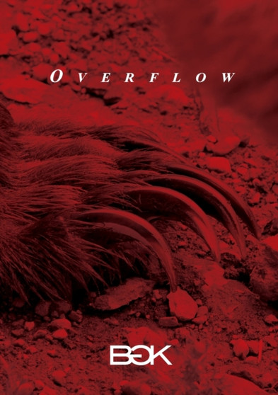 Overflow by Bgk - Paperback