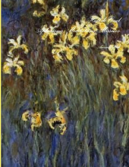 Hall de Gaul : Aphorisms, Meditations, Missives by Amanda Hall - Paperback