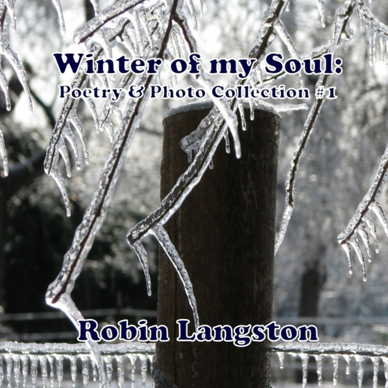 Winter of My Soul: Poetry & Photo Collection #1 by Robin Langston - Paperback