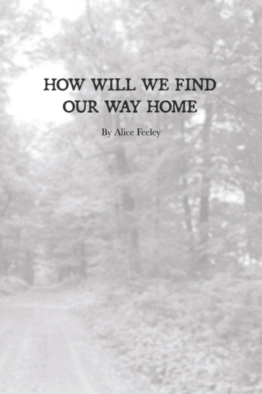 How Will We Find Our Way Home by Alice Feeley - Paperback