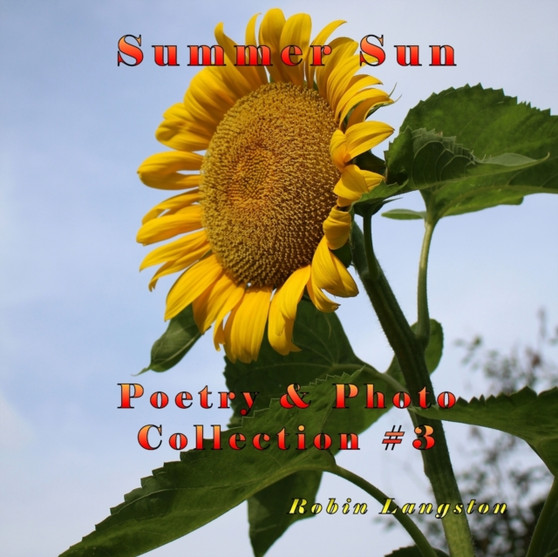 Summer Sun by Robin Langston - Paperback
