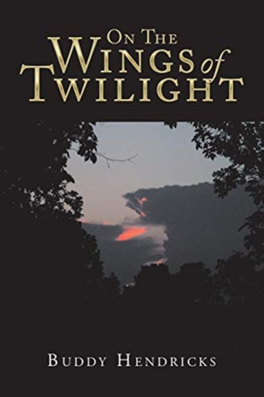 On the Wings of Twilight by Buddy Hendricks - Paperback