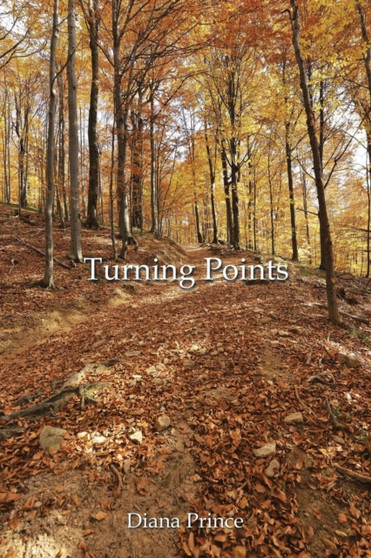 Turning Points by Dr Diana Prince - Paperback