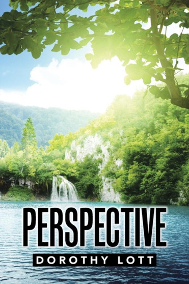 Perspective by Dorothy Lott - Paperback