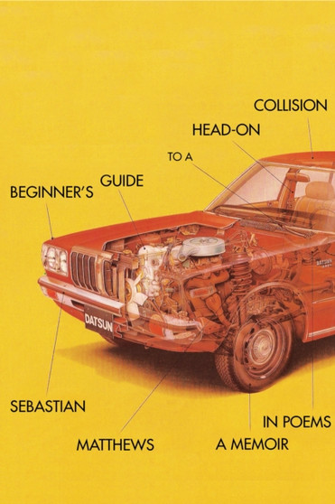 Beginner's Guide to a Head-On Collision by Sebastian Matthews - Paperback
