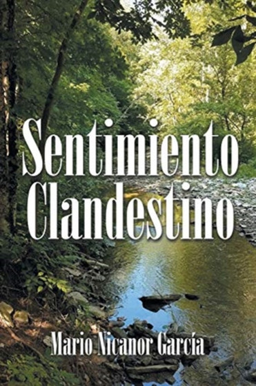 Sentimiento Clandestino by Mario Nicanor Garcia - Paperback