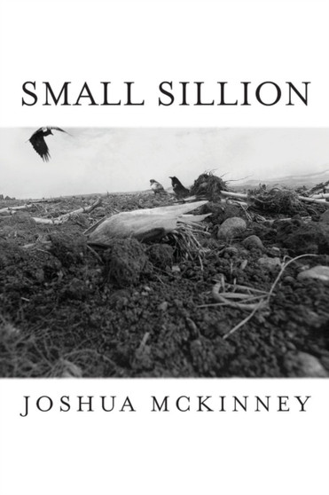 Small Sillion by Joshua McKinney - Paperback