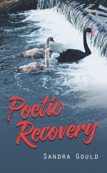 Poetic Recovery by Sandra Gould - Paperback