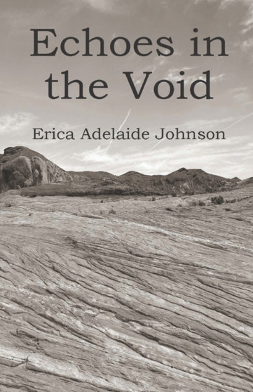 Echoes in the Void by Erica Adelaide Johnson - Paperback