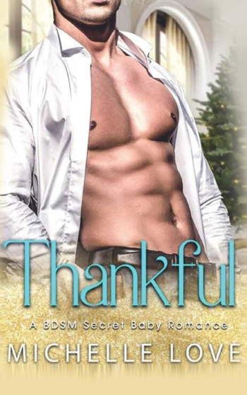 Thankful : A BDSM Secret Baby Romance : 2 by Michelle Love - Hardback