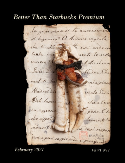 Better Than Starbucks Premium February 2021 by Better Than Starbucks - Paperback