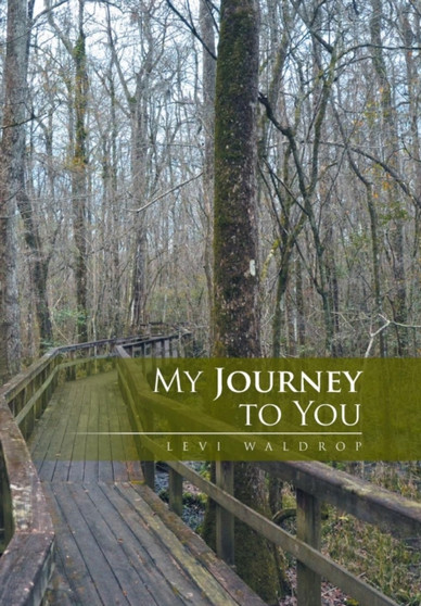 My Journey to You by Levi Waldrop - Hardback