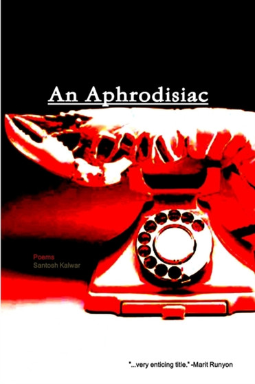 An Aphrodisiac by Santosh Kalwar - Paperback