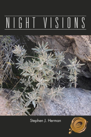 Night Visions by Stephen J Herman - Paperback