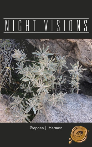 Night Visions by Stephen J Herman - Hardback