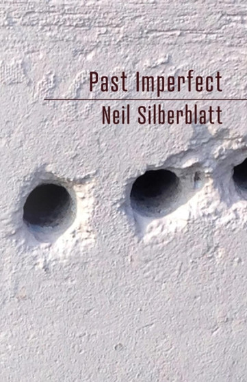 Past Imperfect by Neil Silberblatt - Paperback