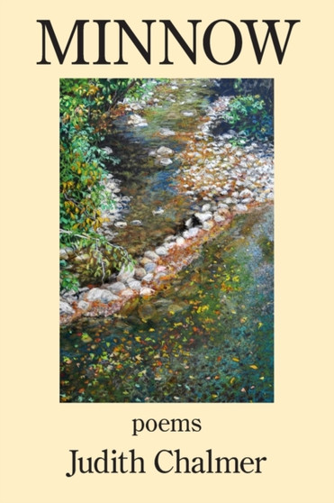 Minnow by Judith Chalmer - Paperback