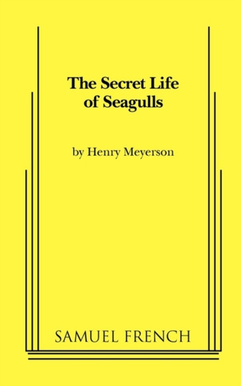 The Secret Life of Seagulls by Henry Meyerson - Paperback