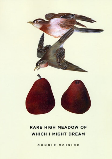 Rare High Meadow of Which I Might Dream by Connie Voisine - Paperback