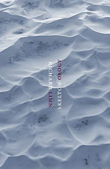 Limnology by Richard Skelton - Paperback