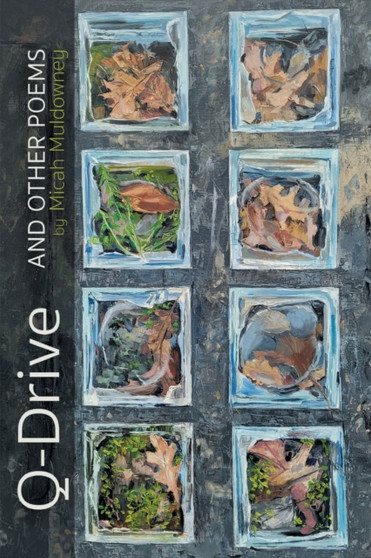 Q-Drive and Other Poems by Micah Muldowney - Paperback