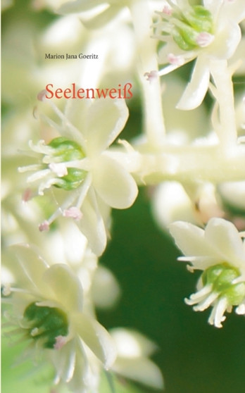 Seelenwei?? by Marion Jana Goeritz - Paperback