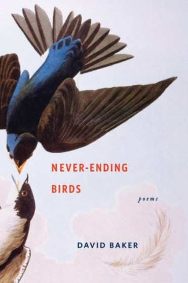Never-Ending Birds : Poems by David Baker - Hardback